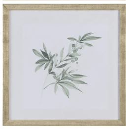 Sage Foliage Artwork Assorted silver frame green leaf leaves 