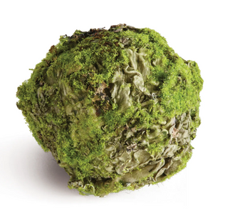 Mossy Lichen Orb 4"