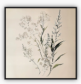 Floral Study No 3 Framed Canvas 24"x24"
