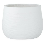 White Pot with Horizontal Stripes Assorted