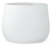 White Pot with Horizontal Stripes Assorted