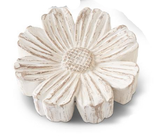 Whitewashed Tabletop Daisies Assorted