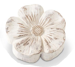 Whitewashed Tabletop Daisies Assorted