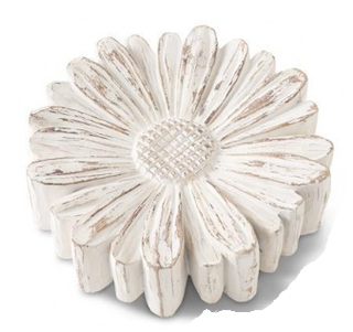 Whitewashed Tabletop Daisies Assorted