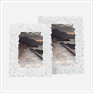 Shamar Frames Assorted