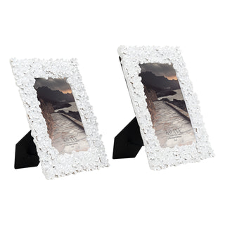 Shamar Frames Assorted