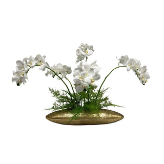 Small Orchid in Gandy Arrangement