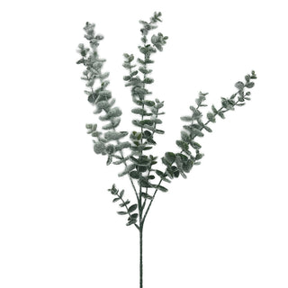 Snowy Flocked Eucalyptus Stem