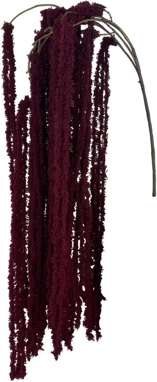 Soft Amaranthus Spray in Burgundy flower