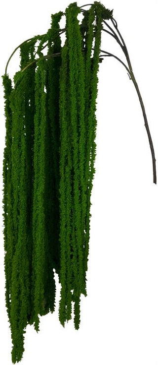 Soft Amaranthus Spray in Green flower weep cascad