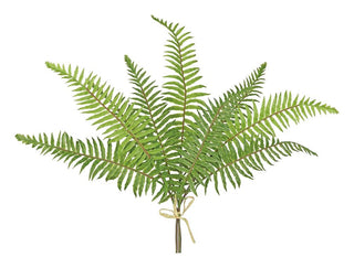 Soft Touch Sword Fern Bundle x 3 in Green