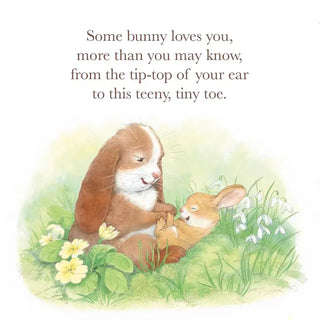 Some Bunny Loves You Keepsake Hardcover Picture Book