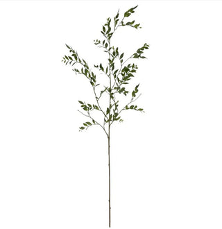 Southern Smilax Branch 55" olive green leaf leaves nature natural