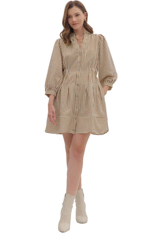 Striped 3/4 Puff Sleeve Mini Dress in Brown