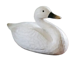 Swan