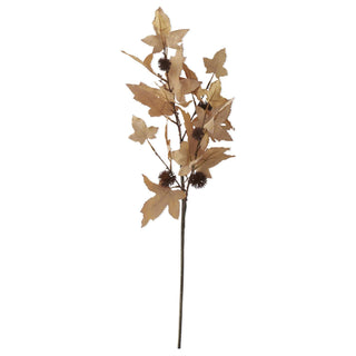 Sweet Gum Branch 30"