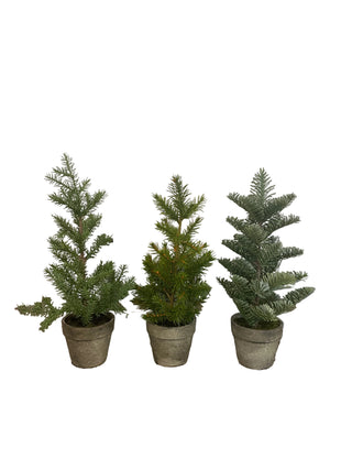 Tall Potted Pine Tree 11" Assorted