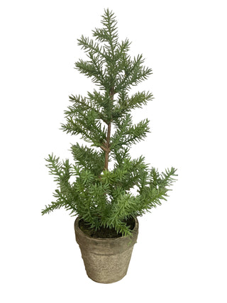A small green pine tree in a rustic gray pot
