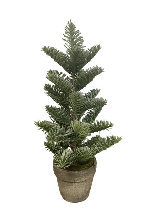 A small pine tree in a gray pot