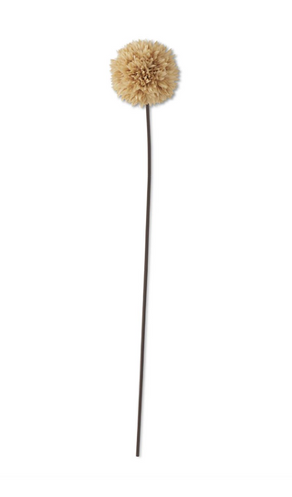 Tan Allium Stem 26" beige