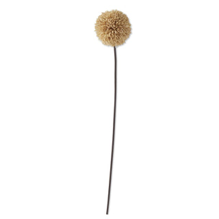 Tan Allium Stem 31"