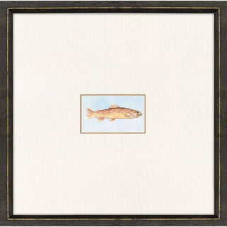 Trout Framed Prints Assorted fish orange gold frame bronze