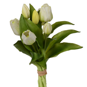 Tulip x 7 Cream 12"