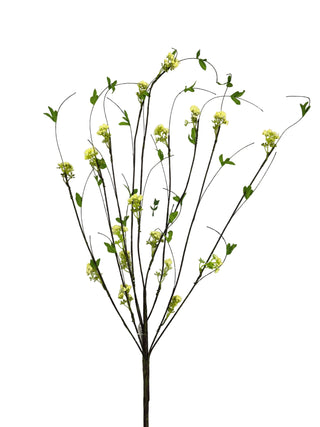Twig Berry Bush Cream