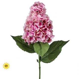 UV Grande Summer PeeGee Hydrangea Pink  29"