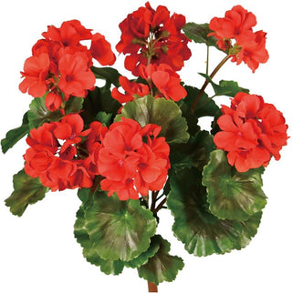 UV Proof Geranium Bush in Red outside outdoor