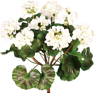 UV Proof Geranium Bush in White outside outdoor