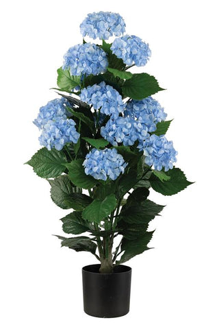 UV Proof Hydrangea Bush in Blue in Pot outdoor outside