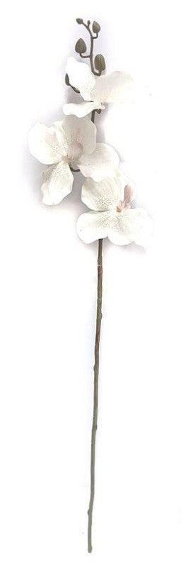 Vanda Orchid Blush Stem 30" white flower floral