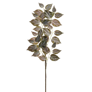 Variegated Ivy Spray 41"