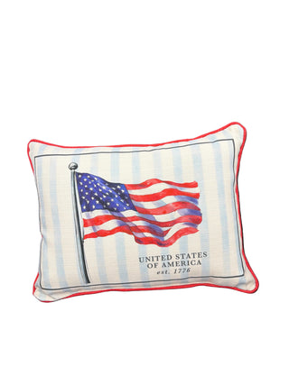 Waving Flag Pillow