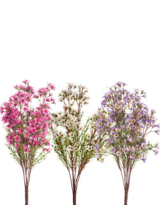 Wax Flower x 9 Assorted pink cream purple