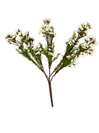 Wax Flower x 9 Assorted cream