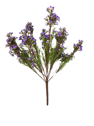 Wax Flower x 9 Assorted purple