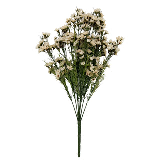 Wax Flower x 9 beige