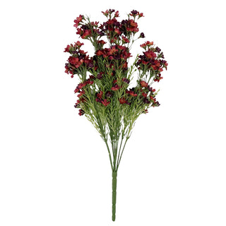 Wax Flower x 9 burgundy