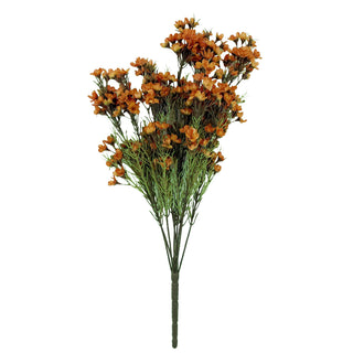 Wax Flower x 9 orange