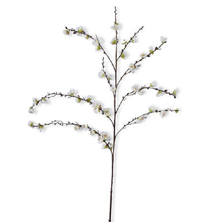 White Cherry Blossom Stem