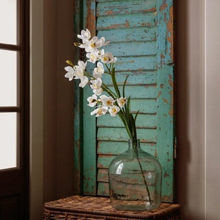 White Cymbidium Orchid Triple Stem