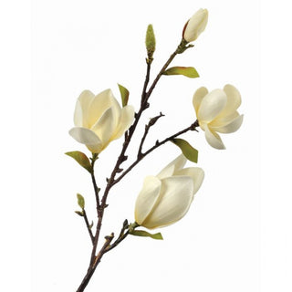 White Eva Saucer Magnolia Spray 34"