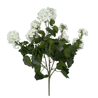 White Geranium Bush 27"