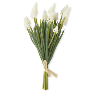 White Grape Hyacinth Bundle