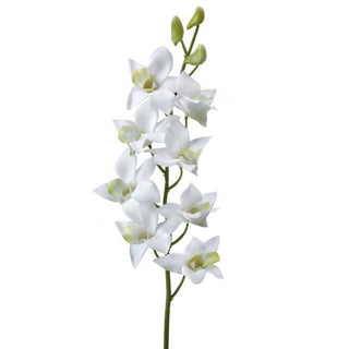 White Just Cut Dendrobium Orchid 27"