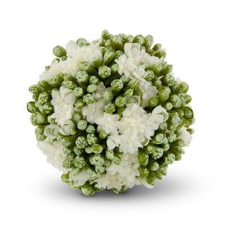 White Kalanchoe Ball 4"