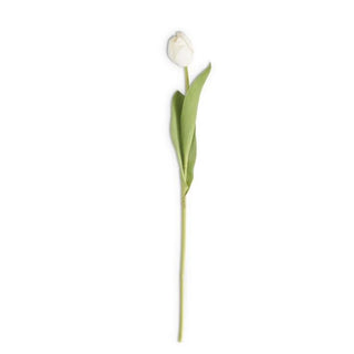 White Real Touch Tulip Stem