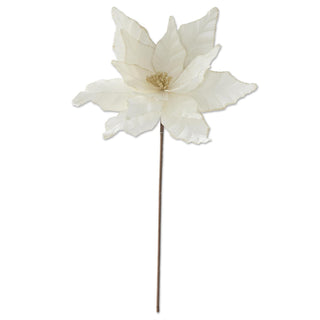 White Velvet Champagne Glittered Lined Poinsettia